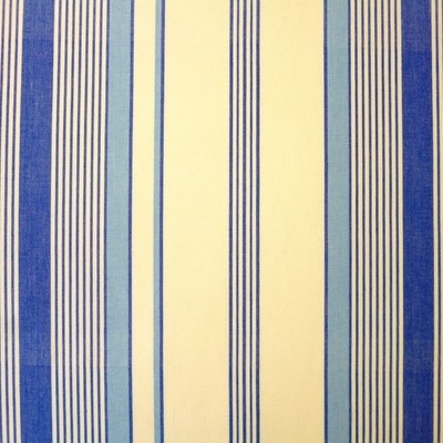 Taino Cobalt Fabric by Prestigious Textiles