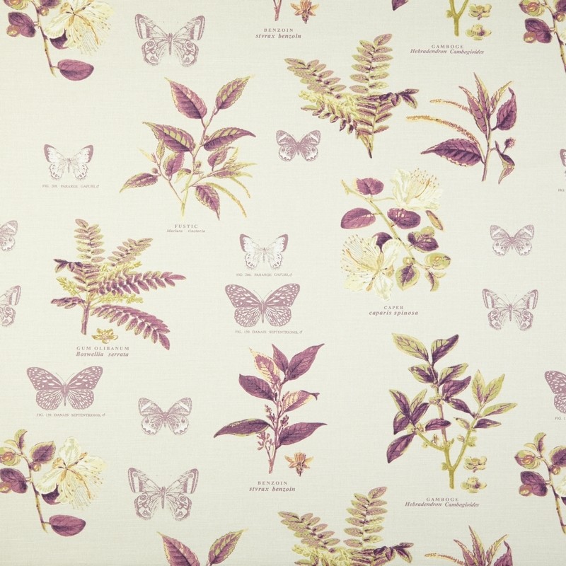 Botany Vintage Fabric by Prestigious Textiles