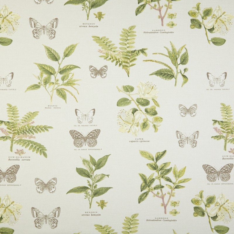 Botany Acacia Fabric by Prestigious Textiles