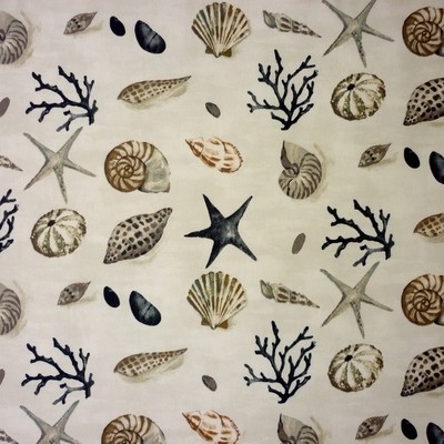 Seashells Driftwood Fabric by Prestigious Textiles