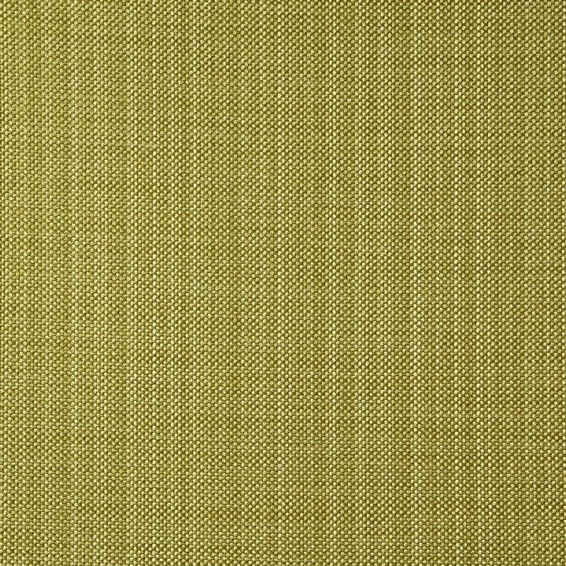 Gem Lime Fabric by Prestigious Textiles