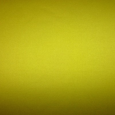 Chic Lime Fabric by Prestigious Textiles