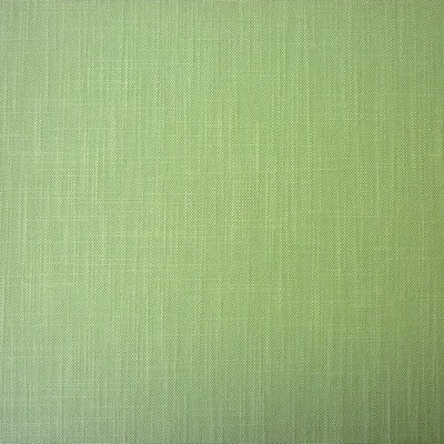 Wexford Jade Fabric by Prestigious Textiles
