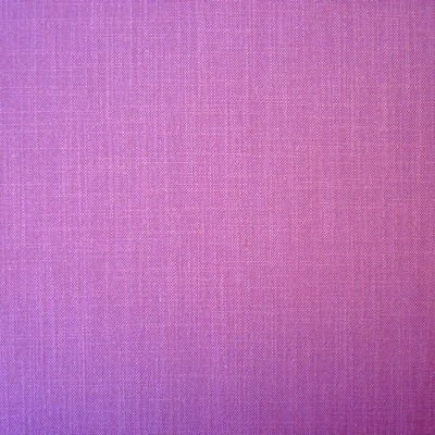 Wexford Violet Fabric by Prestigious Textiles