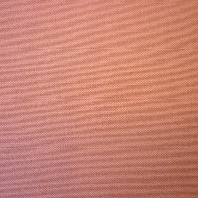 Calico Chestnut Fabric by Prestigious Textiles