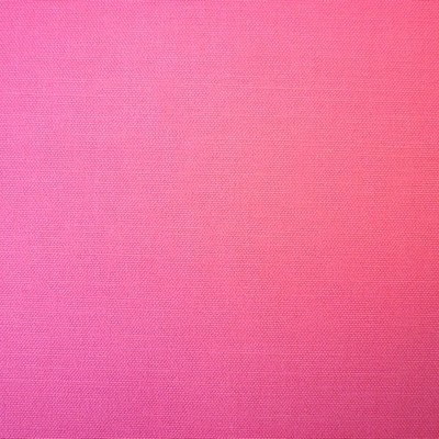Calico Rose Fabric by Prestigious Textiles