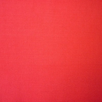 Calico Scarlet Fabric by Prestigious Textiles