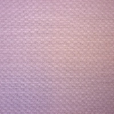 Calico Lilac Fabric by Prestigious Textiles