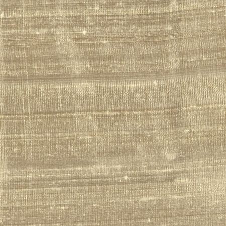 Dupion Parchment Fabric by Clarke & Clarke