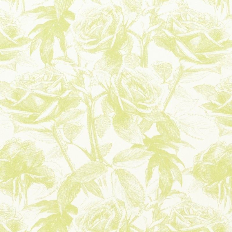 Empress Rose Citrus Fabric by Clarke & Clarke