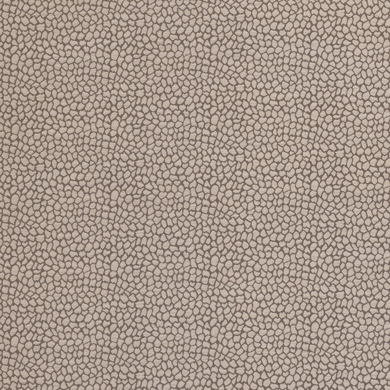 Ecaille Taupe Fabric by Clarke & Clarke