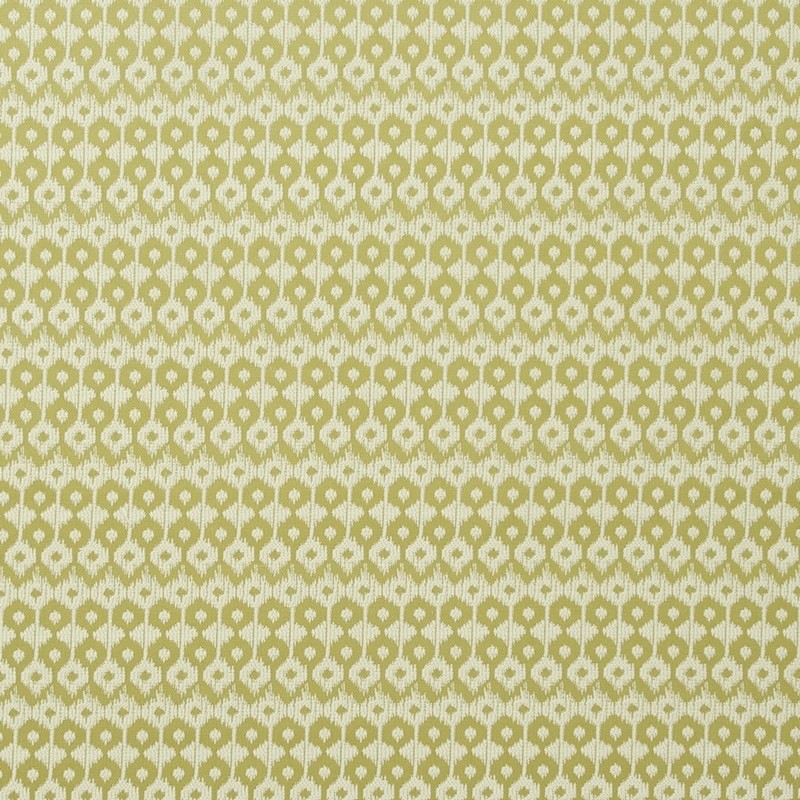Chico Lime Fabric by Clarke & Clarke