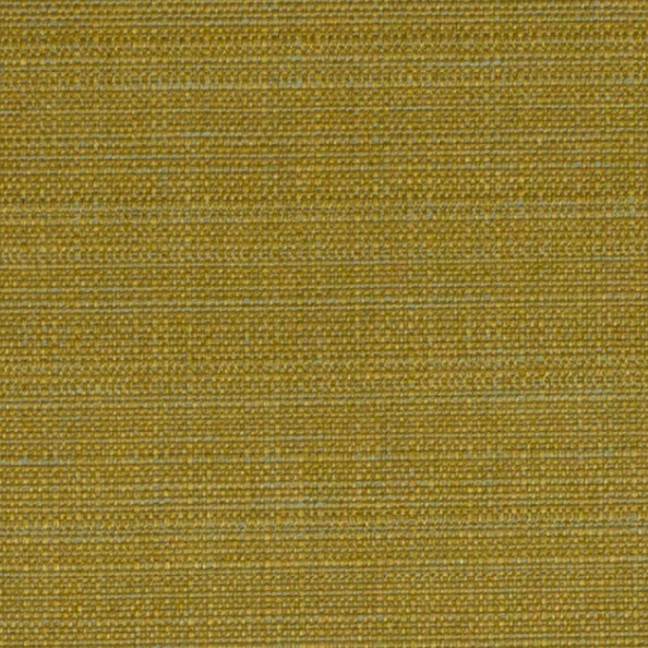 Raffia Gold Fabric by Ashley Wilde