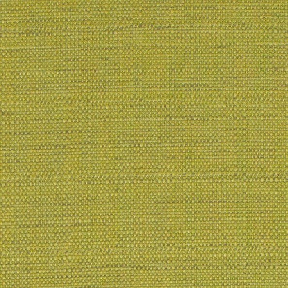 Raffia Lime Fabric by Ashley Wilde
