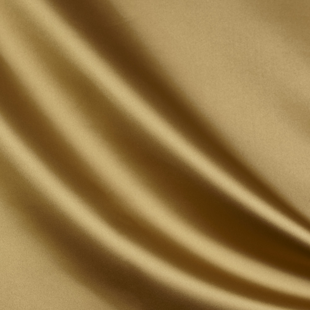 Royalty Gilt Fabric by Prestigious Textiles