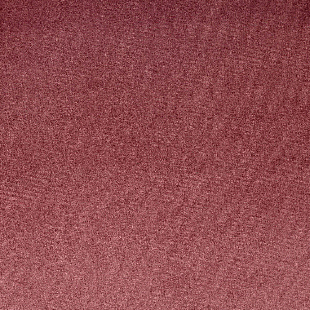 Velour Rosebud Fabric by Prestigious Textiles