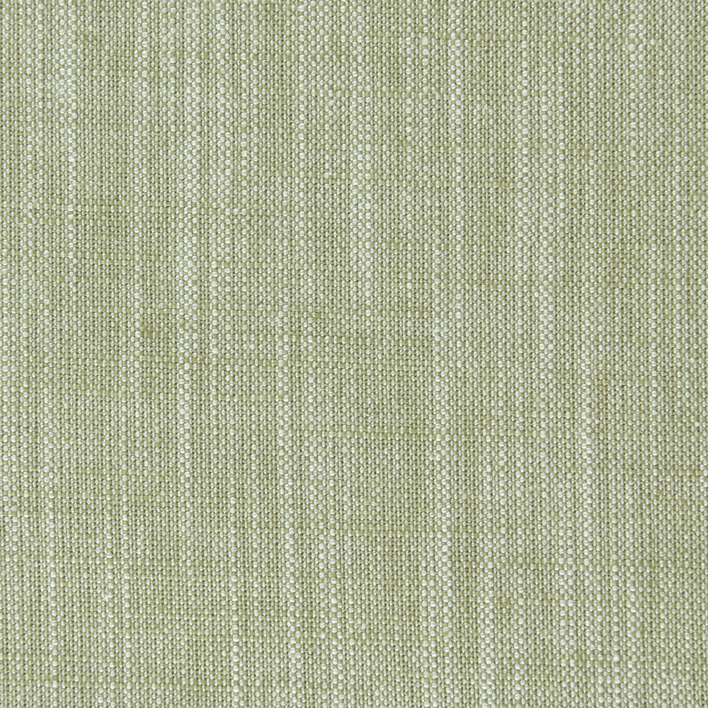 Biarritz Eucalyptus Fabric by Clarke & Clarke