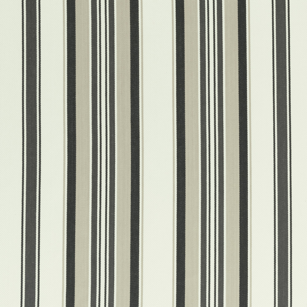 Pampelonne Charcoal Fabric by Clarke & Clarke