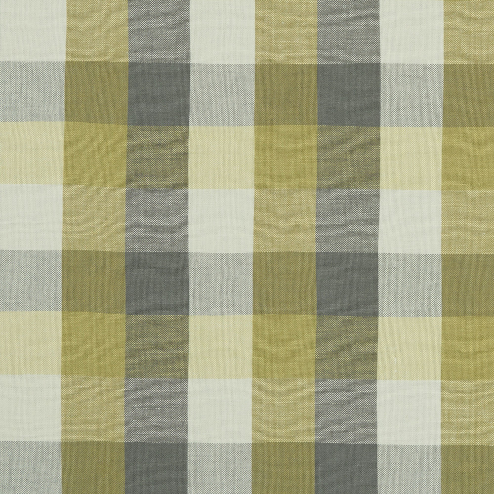 Austin Check Citron / Natural Fabric by Clarke & Clarke