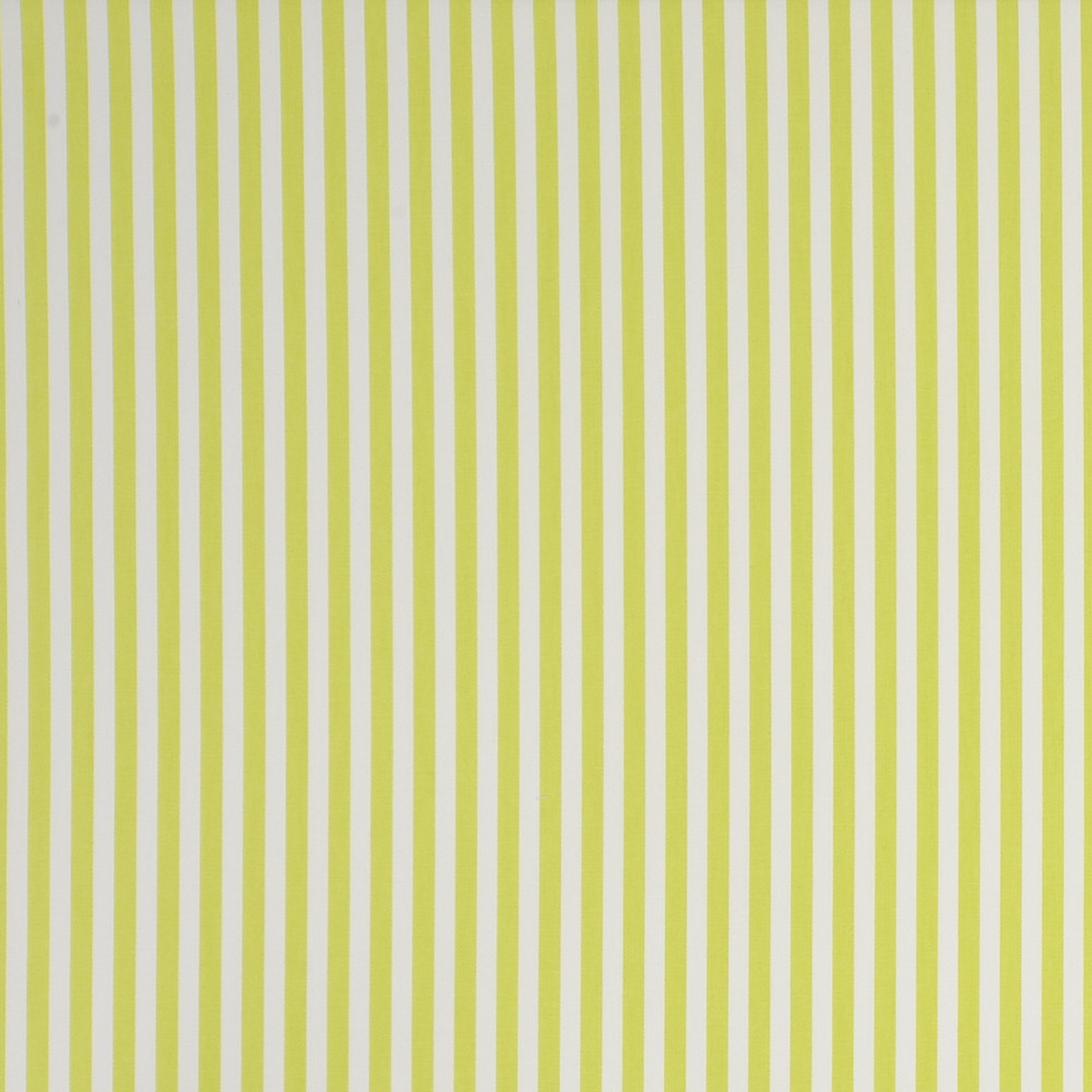 Party Stripe Citrus Fabric by Studio G