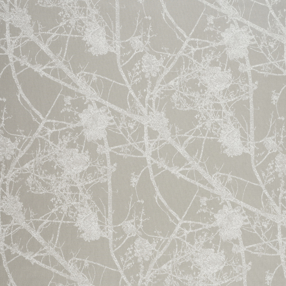 Birch Dove Fabric by Ashley Wilde