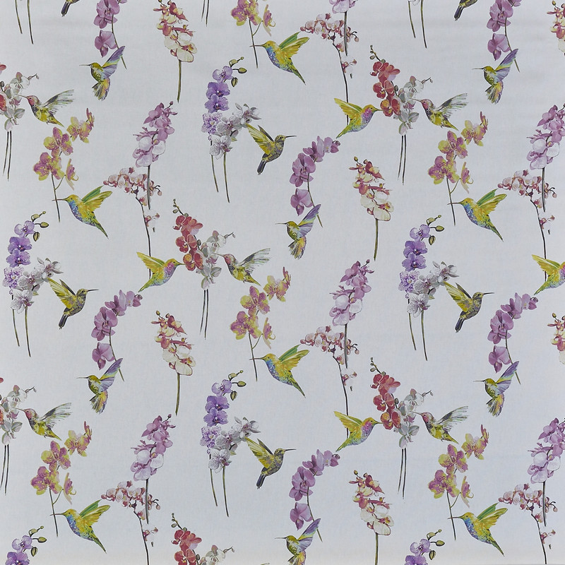 Humming Bird Blossom Fabric by Prestigious Textiles