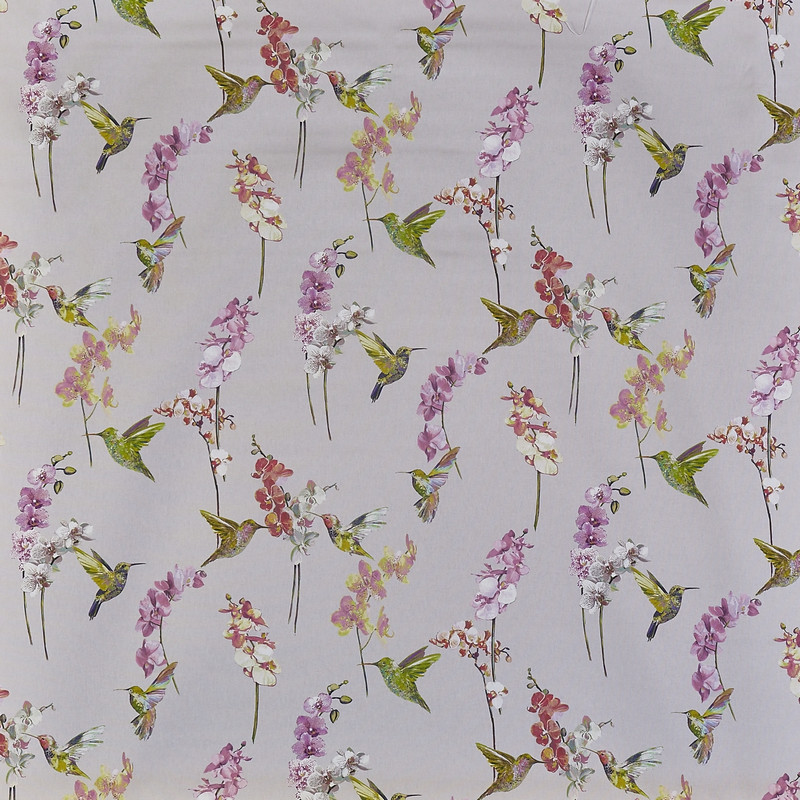 Humming Bird Rose Quartz Fabric by Prestigious Textiles