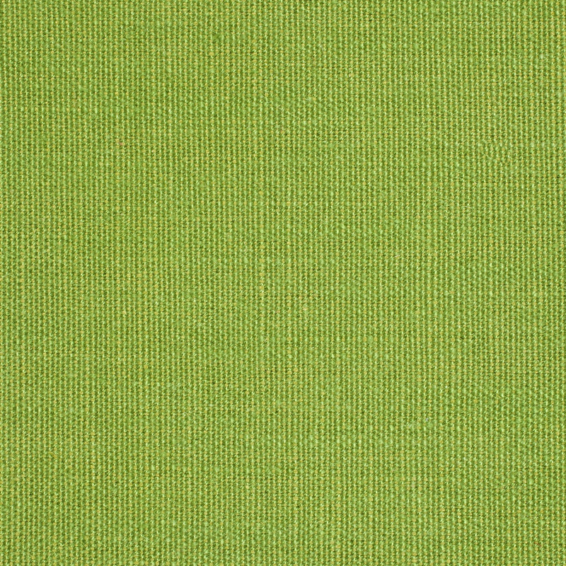 Plains One Apple Fabric by Scion