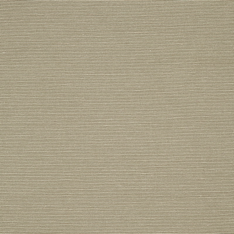 Plains Two Taupe Fabric by Scion