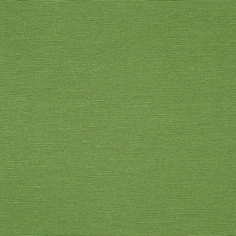 Plains Two Avocado Fabric by Scion