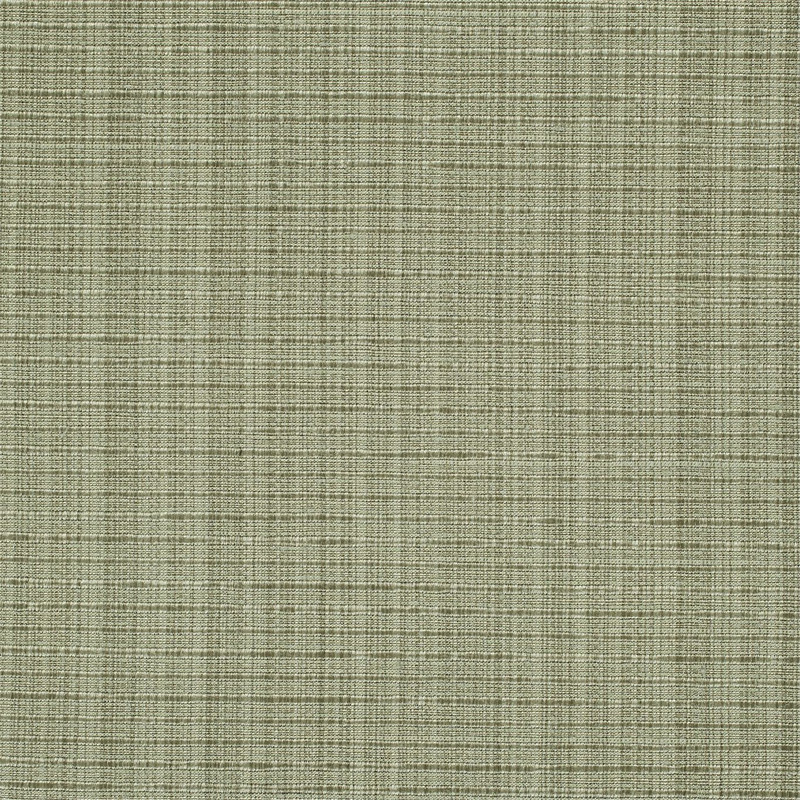 Plains Four Khaki Fabric by Scion