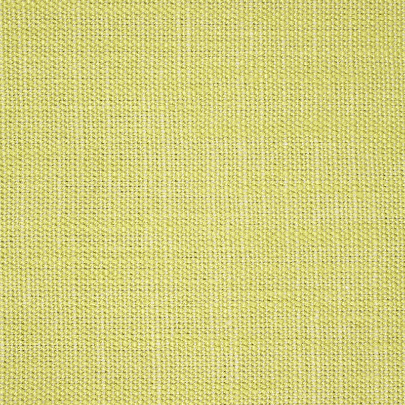 Plains One + 1 Kiwi Fabric by Scion