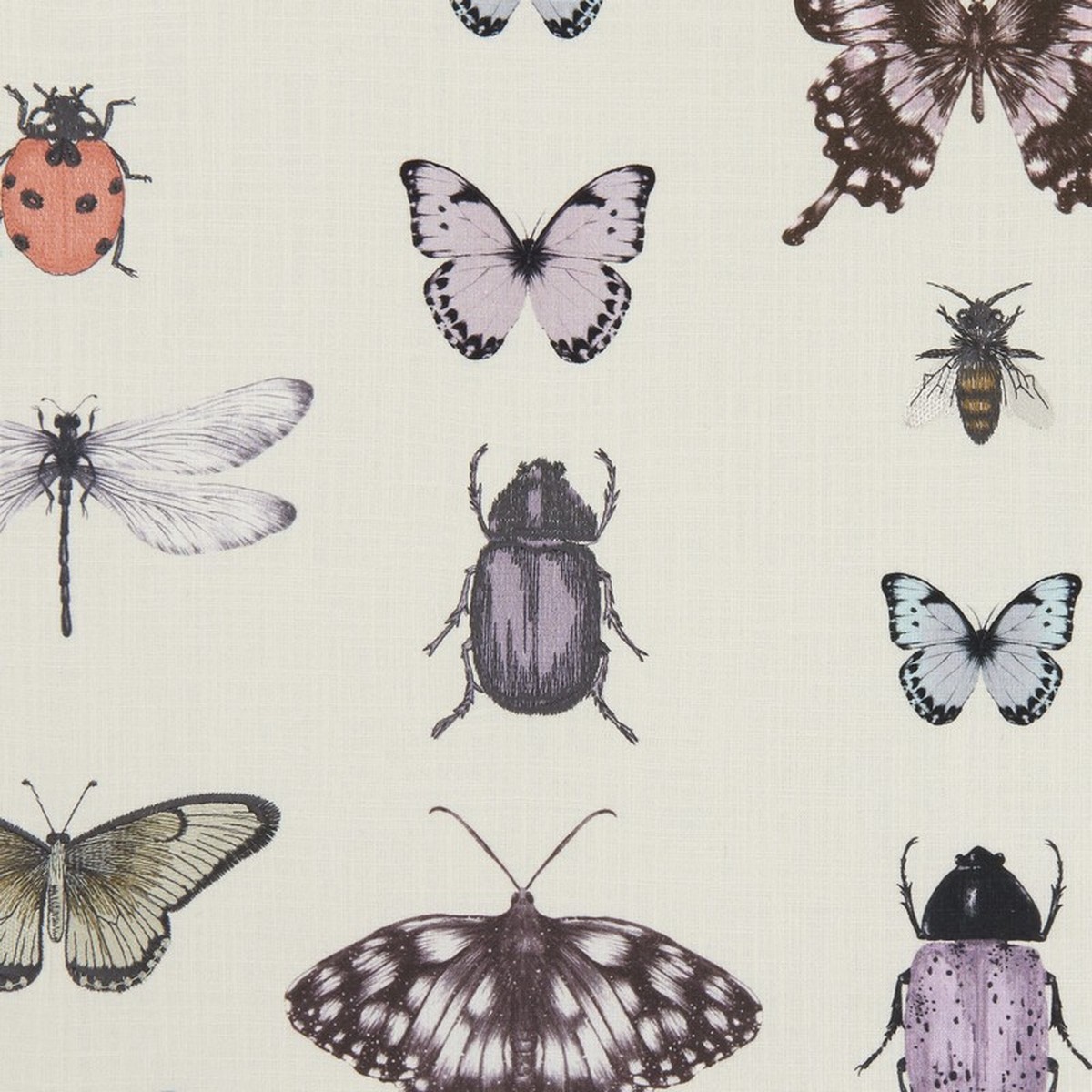 Papilio Heather/Ivory Fabric by Clarke & Clarke