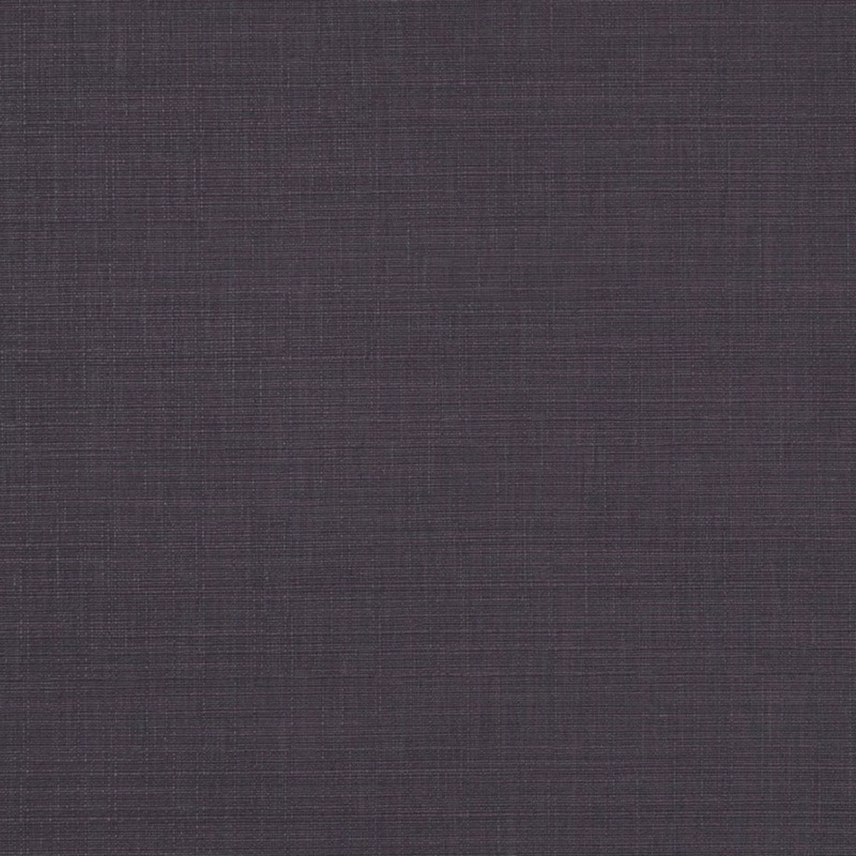 Seda Grape Fabric by Clarke & Clarke