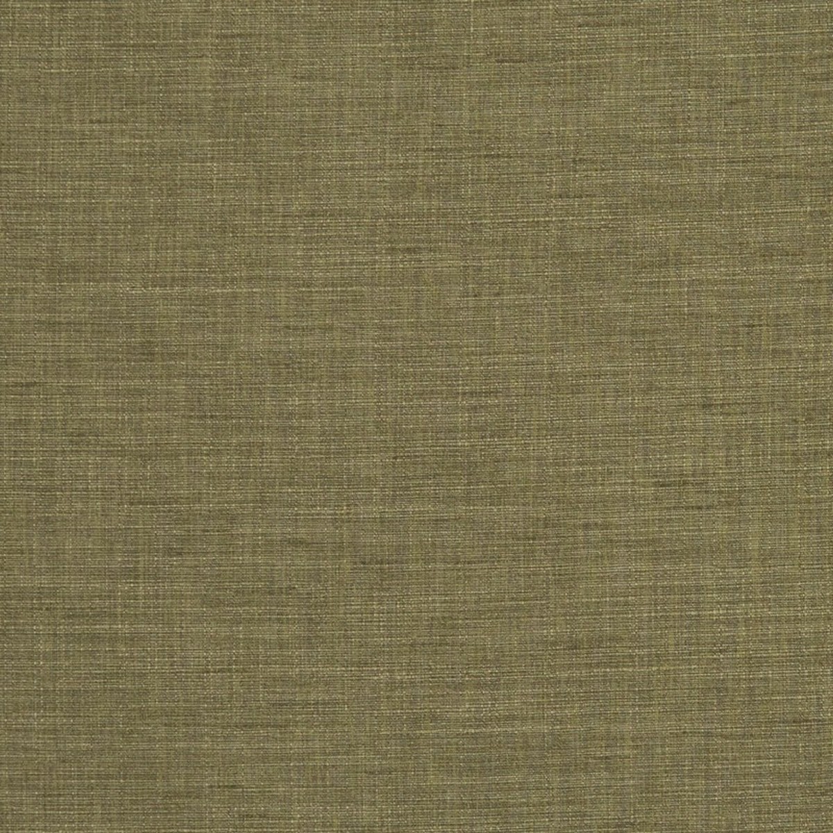 Seda Olive Fabric by Clarke & Clarke