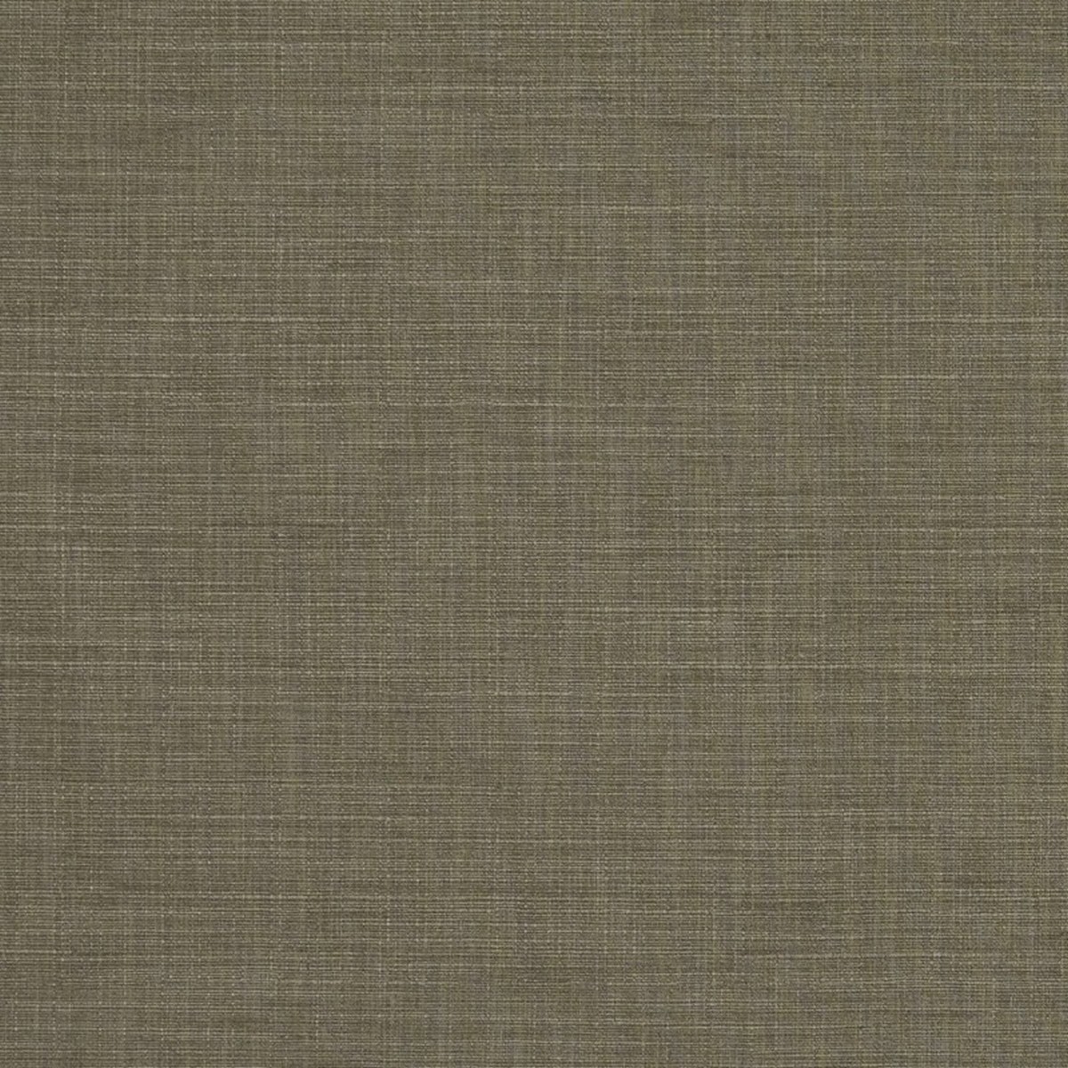 Seda Taupe Fabric by Clarke & Clarke