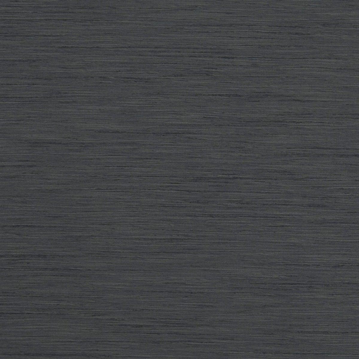 Tussah Charcoal Fabric by Clarke & Clarke