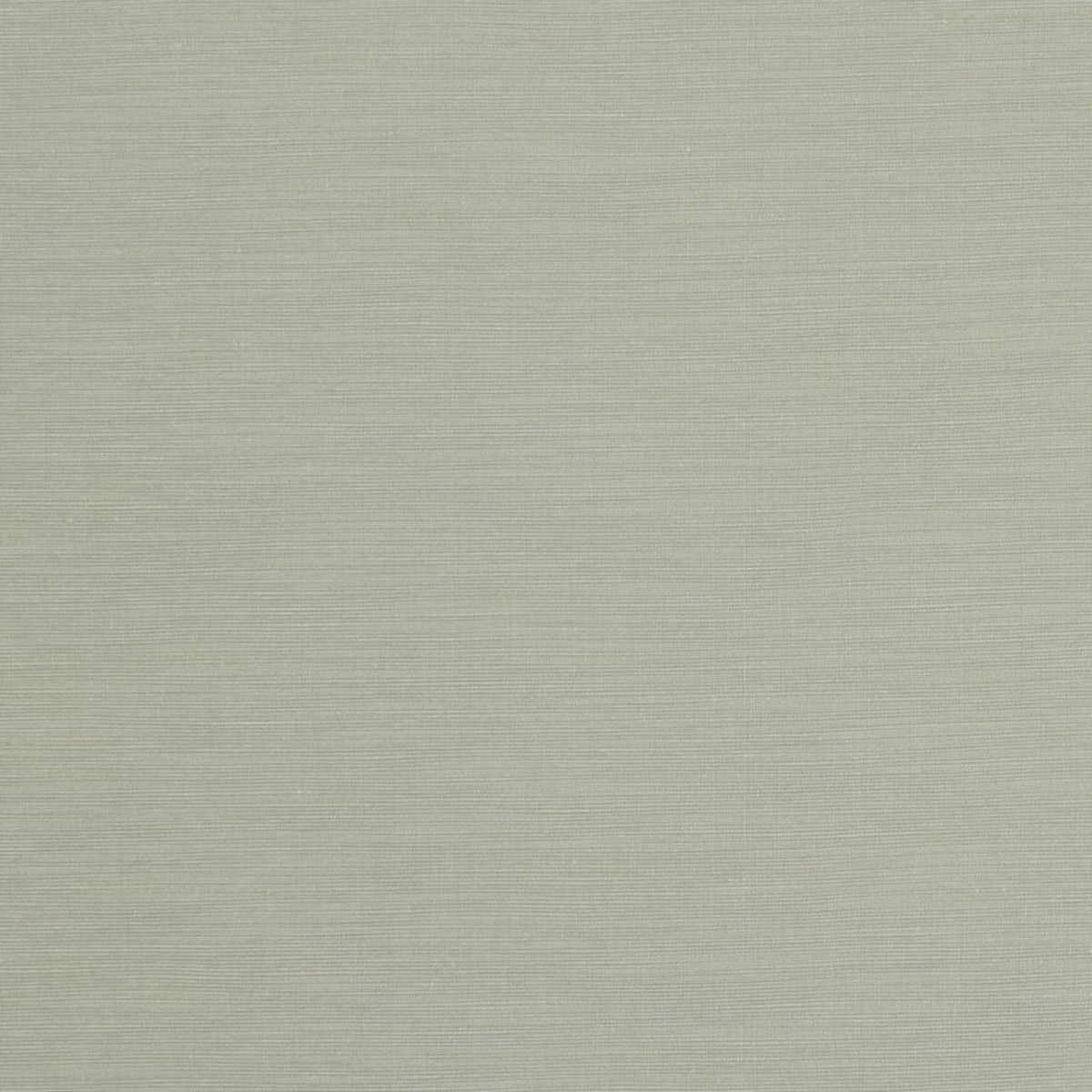 Tussah Mineral Fabric by Clarke & Clarke