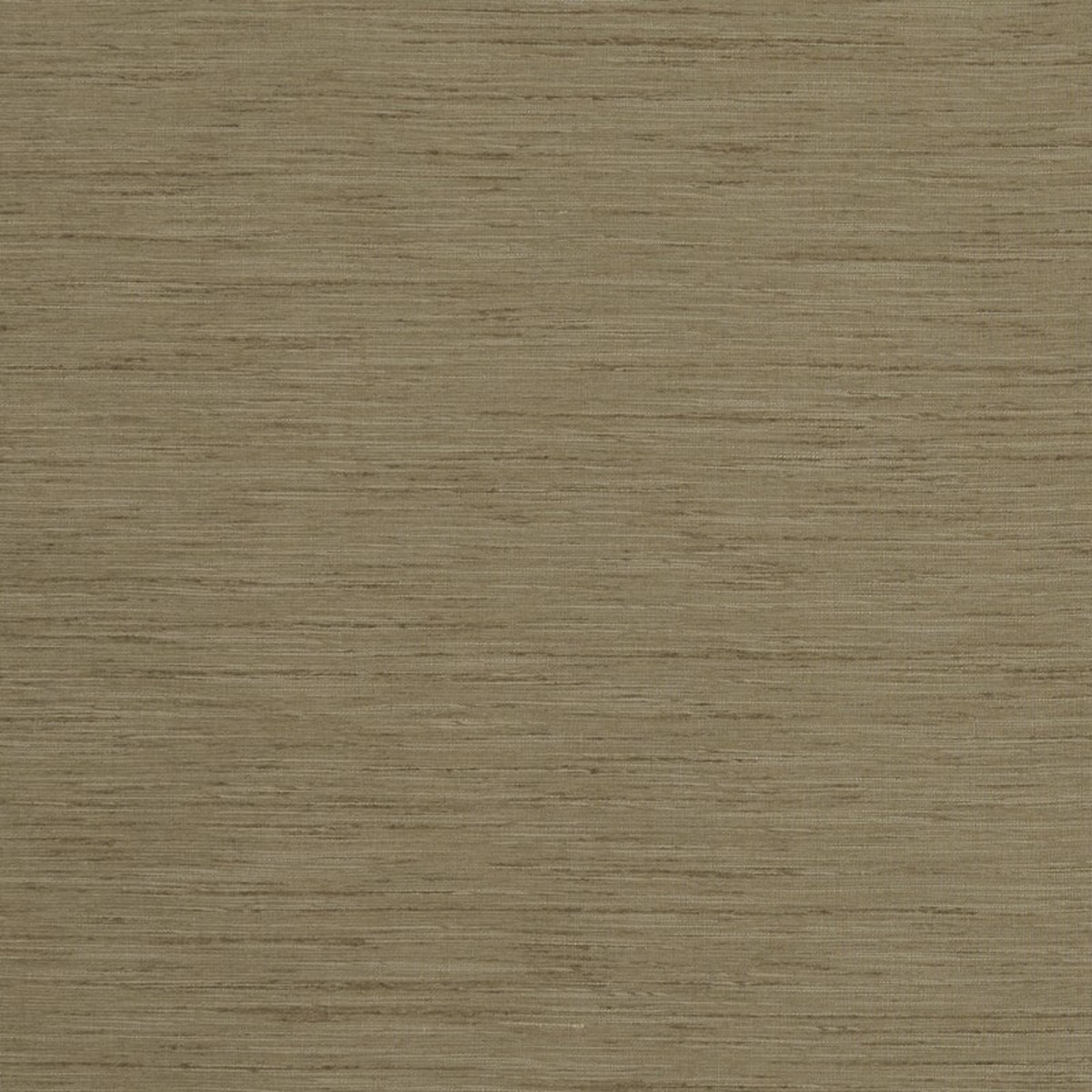 Tussah Taupe Fabric by Clarke & Clarke
