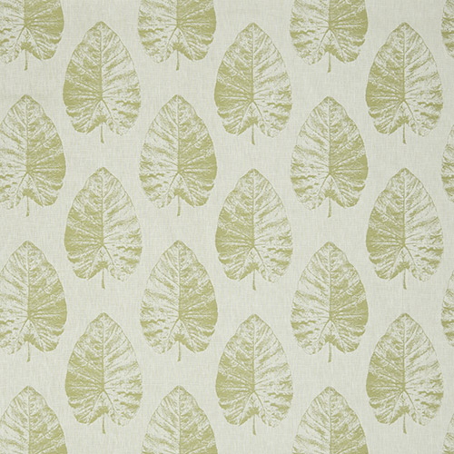 Laurie Fern Fabric by iLiv