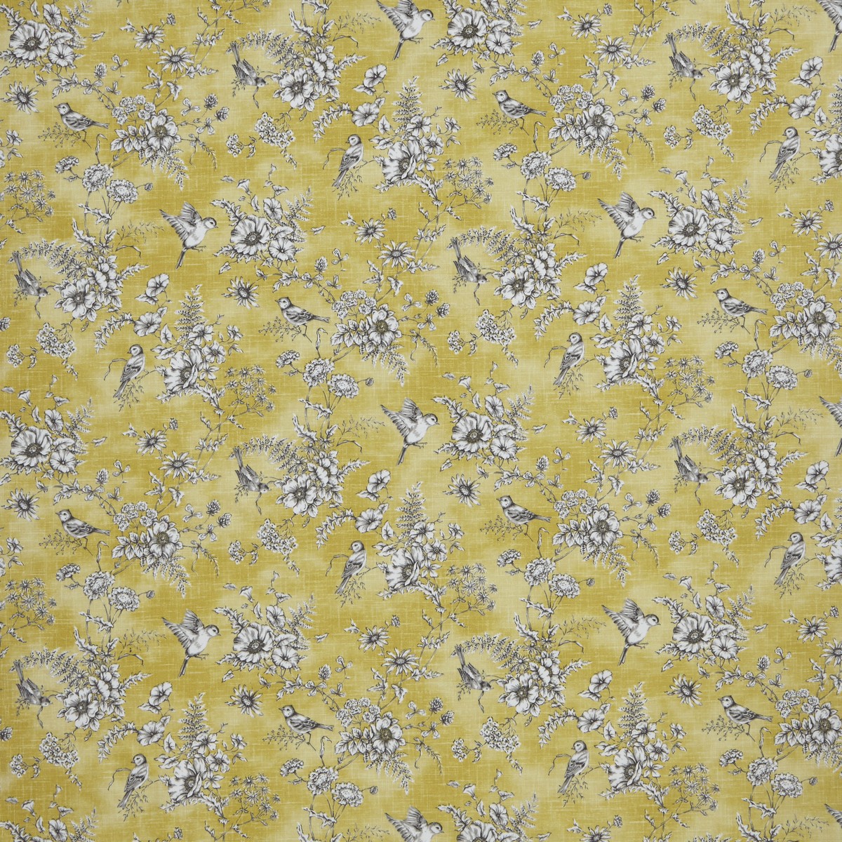 Finch Toile Buttercup Fabric by iLiv