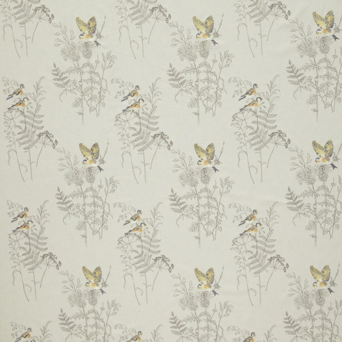 Gold Finch Buttercup Fabric by iLiv