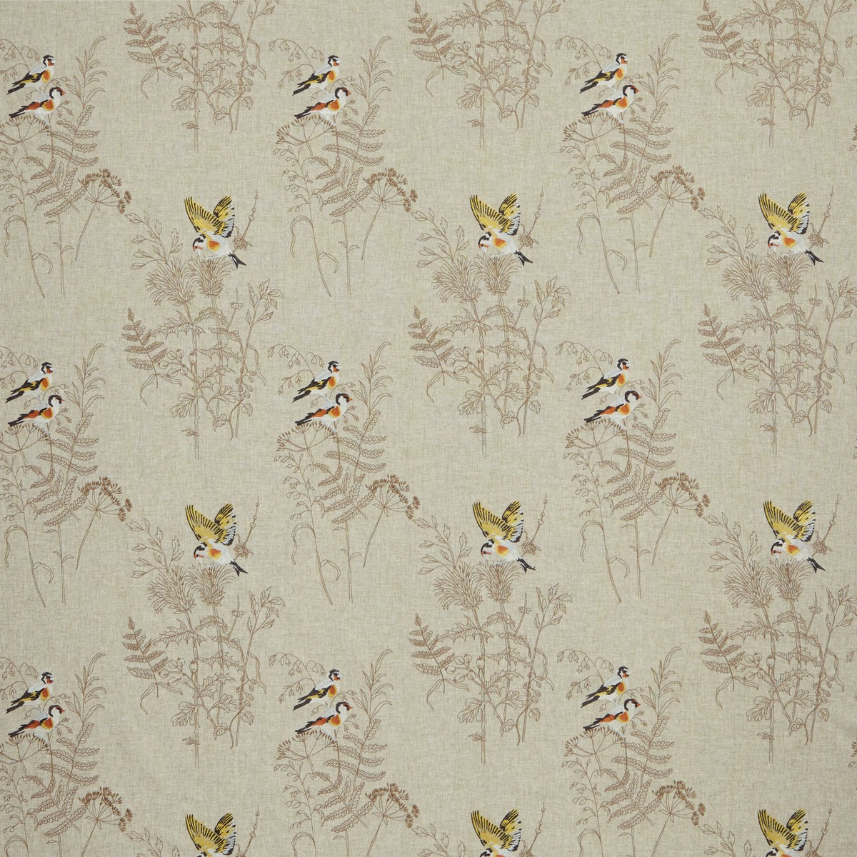 Gold Finch Coral Fabric by iLiv