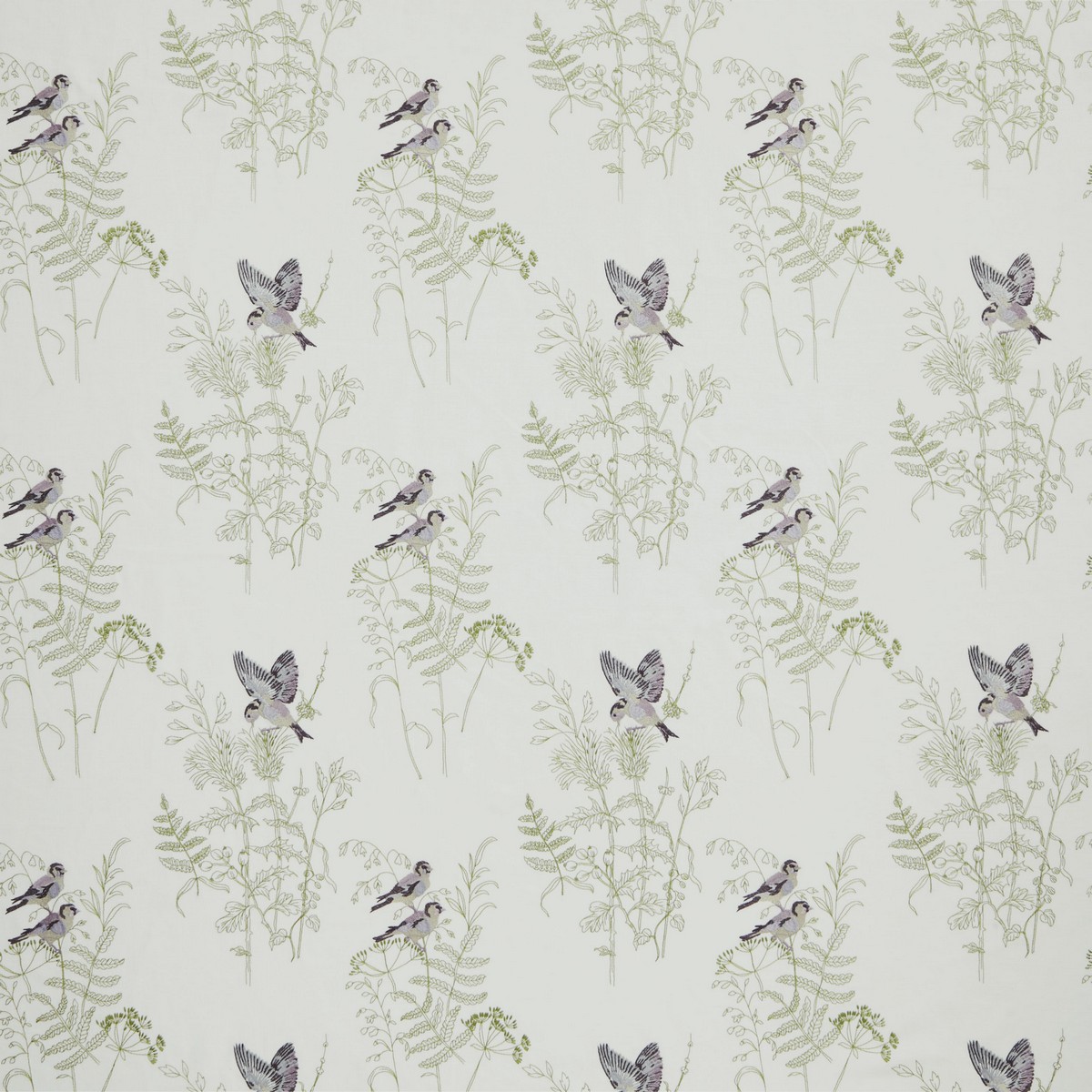 Gold Finch Rose Fabric by iLiv