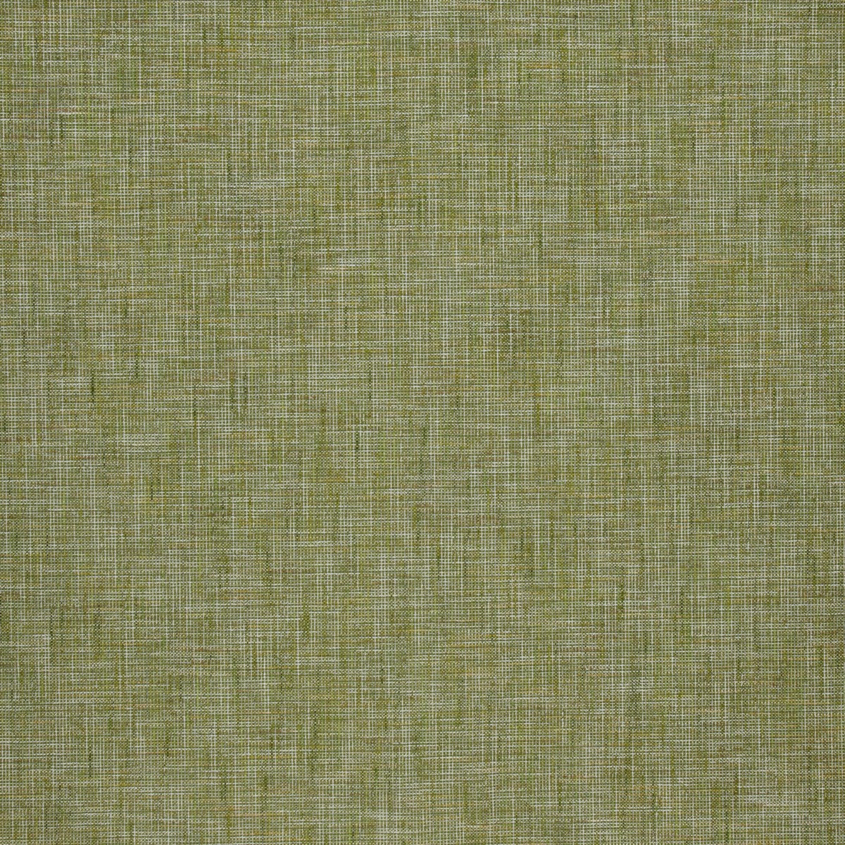 Saxon Moss Fabric by iLiv