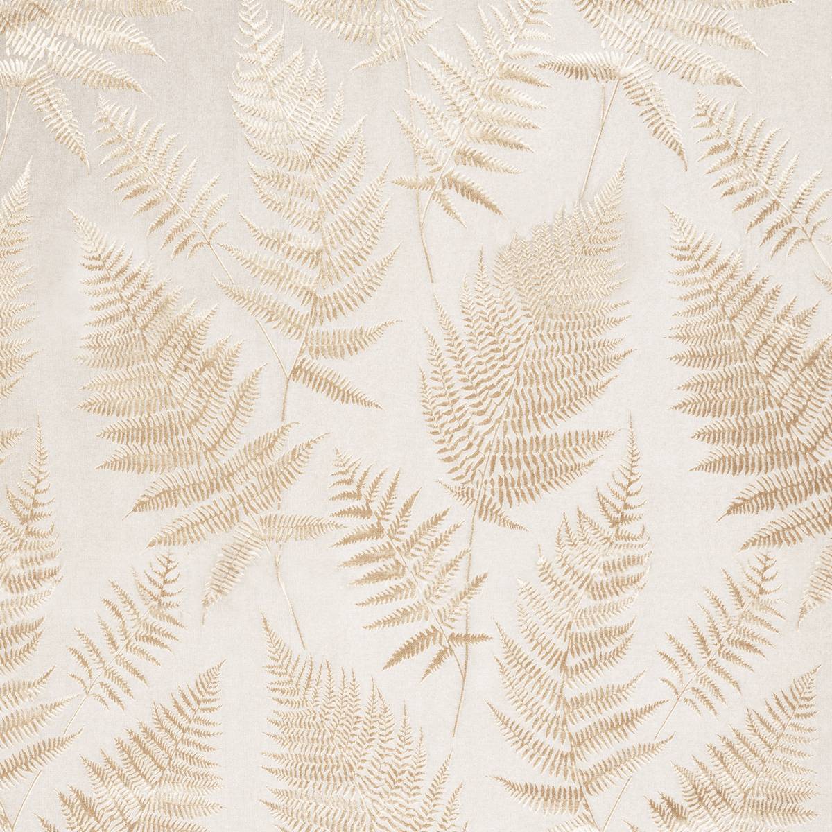 Affinis Champagne Fabric by Ashley Wilde