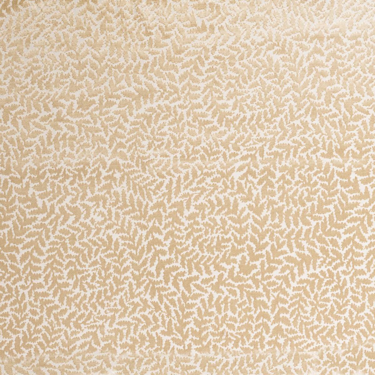 Sinuate Champagne Fabric by Ashley Wilde