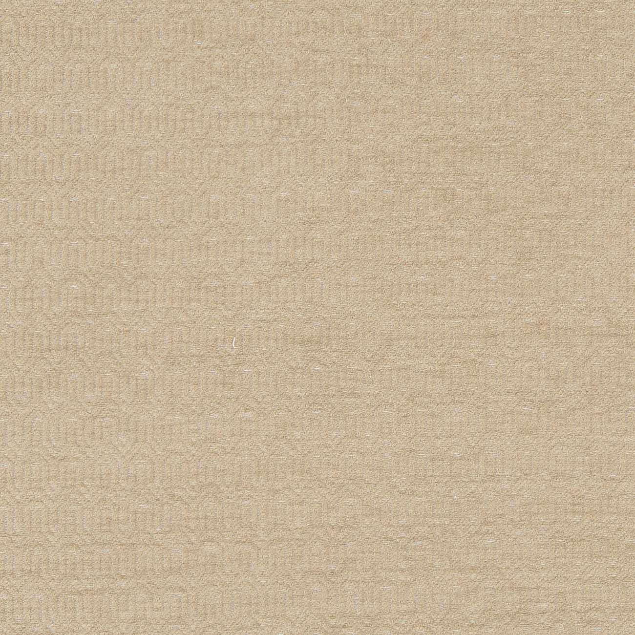 Solstice Natural Fabric by Clarke & Clarke