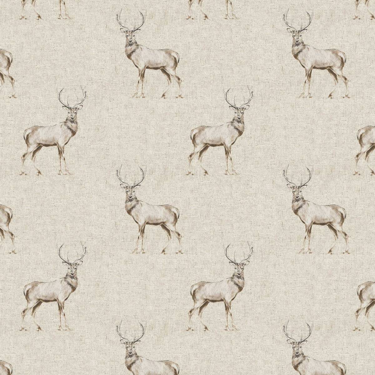 Glencoe Natural Fabric by Fryetts