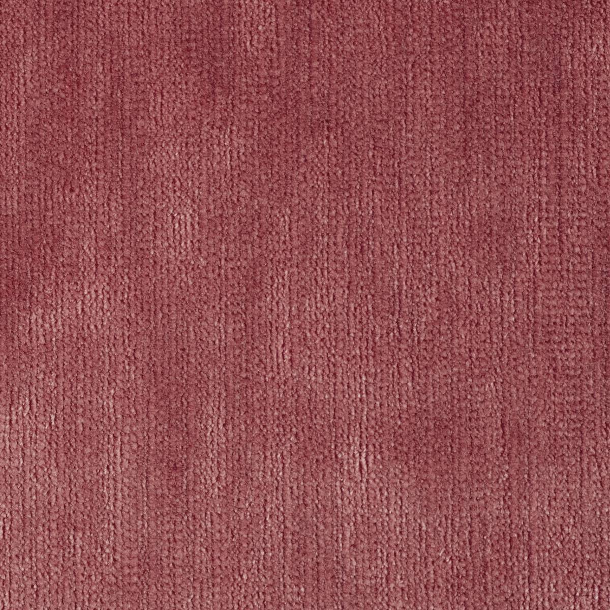 Momentum Velvets Coral Fabric by Harlequin
